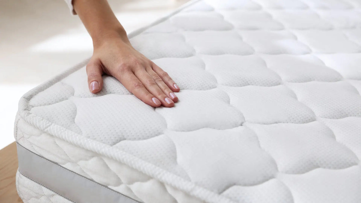 How to get rid of bed bugs