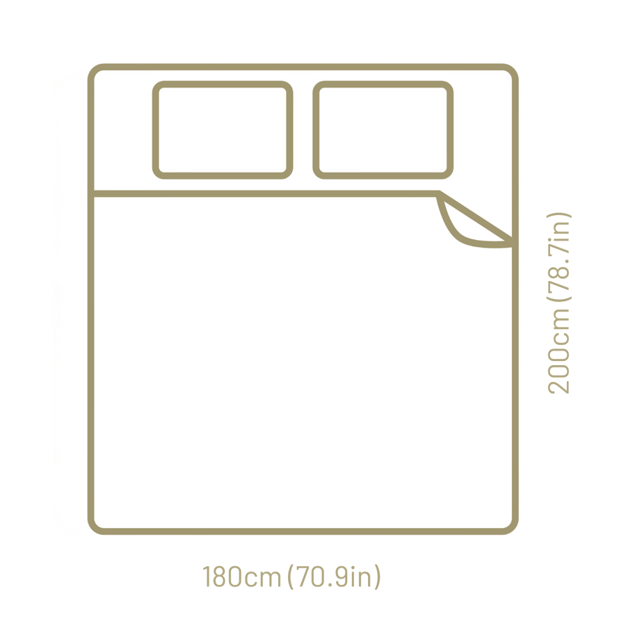 Mattress sizes 2025 guide sealy india
